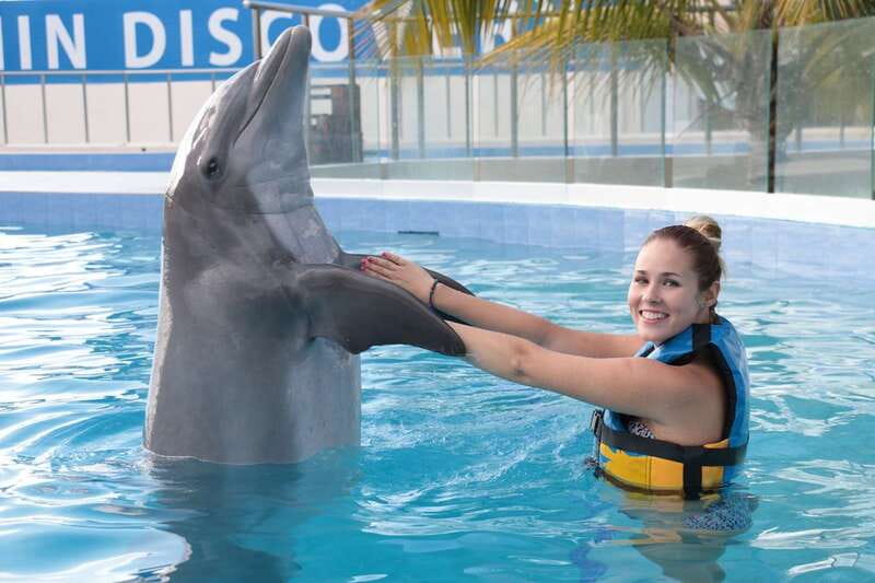 Riviera Maya: Dolphin Encounter with Beach Club Access - Price and value: is $109 a good deal?