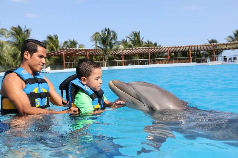 Riviera Maya: Dolphin Encounter with Beach Club Access - Dolphin Discovery Maroma: the encounter flow and what it feels like