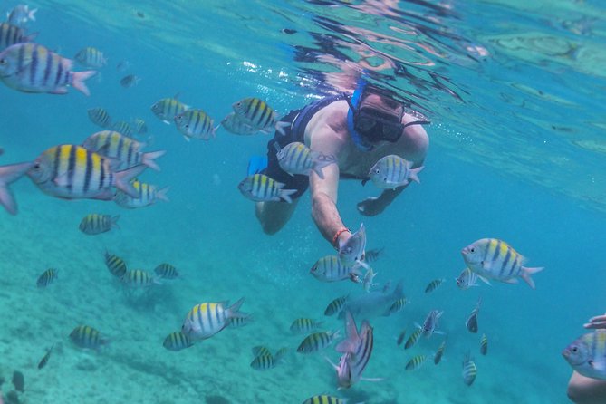 Riviera Maya Luxury Snorkeling Cruise with Lunch and Drinks - Adults-only vs family-friendly: choose the vibe on purpose