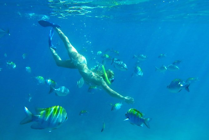 Riviera Maya Luxury Snorkeling Cruise with Lunch and Drinks - Price check: is $139 good value for Inah Reef access?