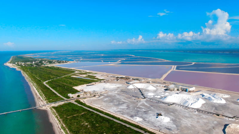 Riviera Maya: Rio Lagartos & Las Coloradas Day Trip w/Lunch - Who this tour suits best, and who should skip it