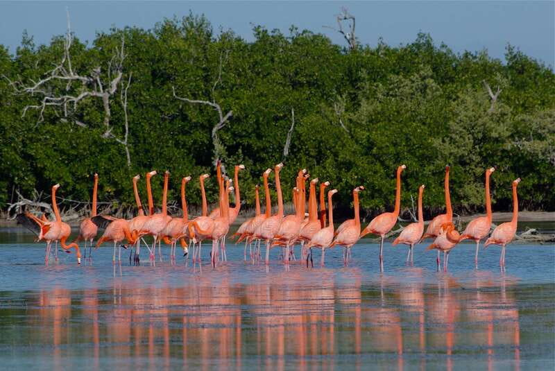 Riviera Maya: Rio Lagartos & Las Coloradas Day Trip w/Lunch - Why this trip feels like two very different places