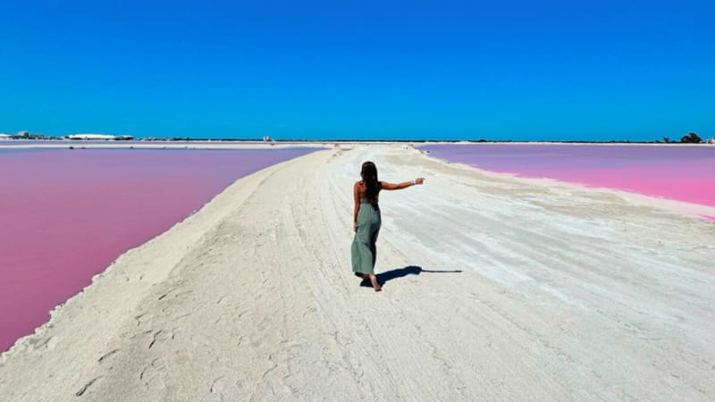 Riviera Maya: Rio Lagartos & Las Coloradas Day Trip w/Lunch - Rio Lagartos Biosphere Reserve: the boat tour where you spot wildlife