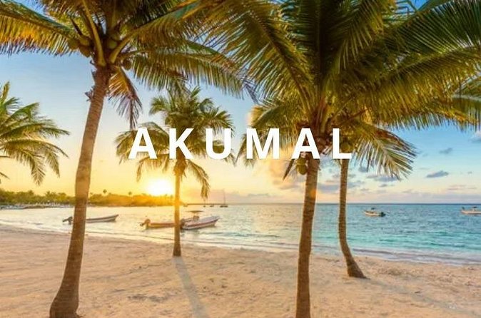 Round private transfer Airport- Akumal - Airport. - Included vs Not Included: The Stuff You Should Plan Around