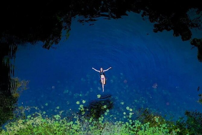 Sacred Adventure at Xenotes! 4 Different Cenotes + Round Transportation - Lunch, Snacks, Soft Drinks, Beer, and Wine (Yes, Really)