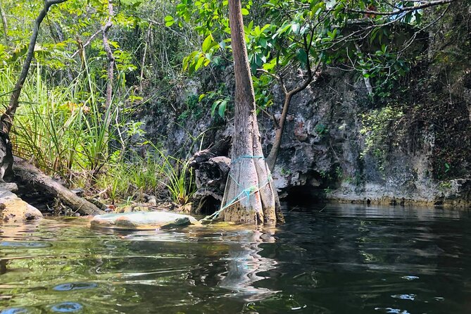 Sacred Adventure at Xenotes! 4 Different Cenotes + Round Transportation - Packing List That Matches Real Cenote Conditions
