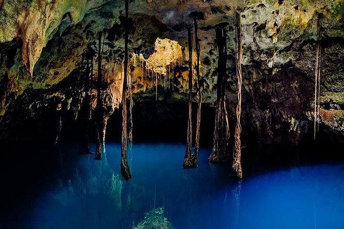 Sacred Adventure at Xenotes! 4 Different Cenotes + Round Transportation - Transportation and Meeting Points That Can Make or Break Your Morning