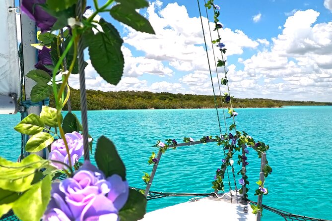 Sail 4hr in the most SECRET Spot of Bacalar and Beach Club. - The fruity picnic and hibiscus water: the view break that makes it feel worth it