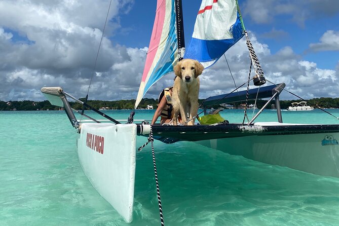 Sail away! Hobie Cat Tour Bacalar - Bacalar is built for sailing, not speed tourism