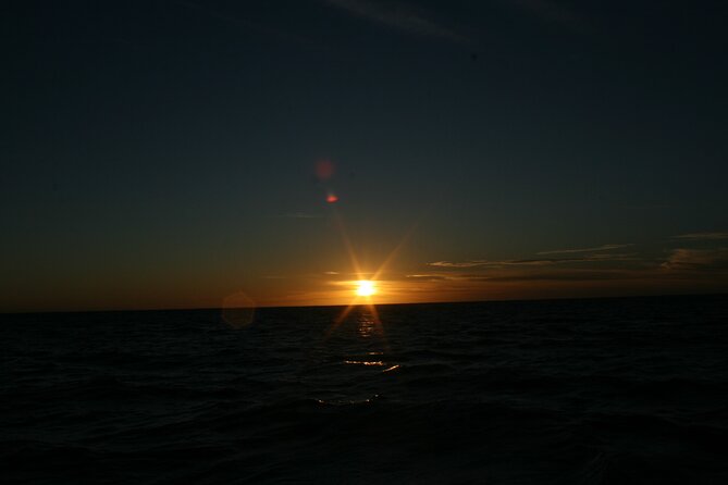 San Jose del Cabo Small-Group Sunrise Whale Watching - Where You’ll Watch: Quiet Spots Away From the Crowds