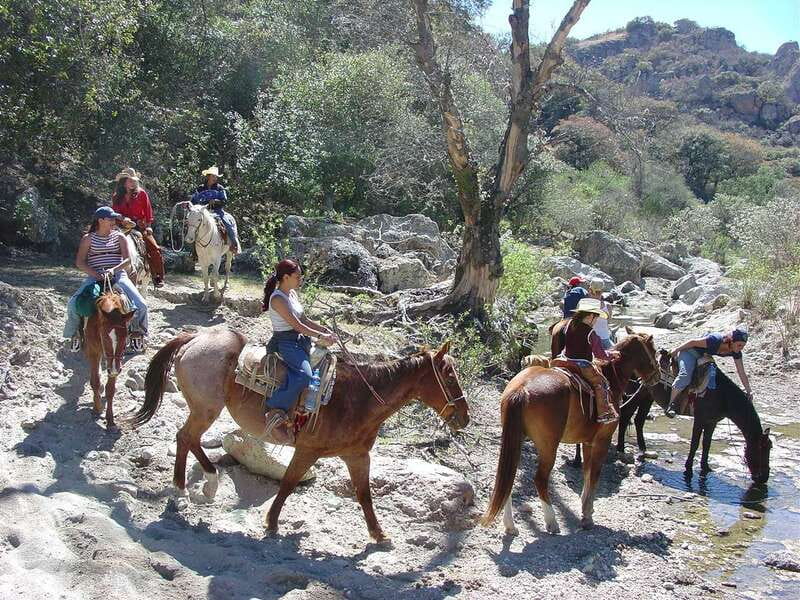 San Miguel Allende: Half-Day Horseback Riding Adventure - Hot Springs vs Rappelling: Pick Your Ending Energy