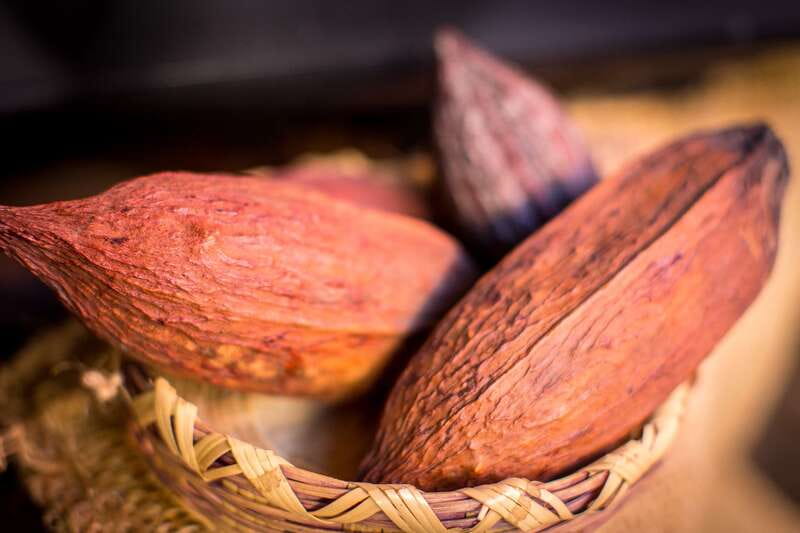 San Miguel de Allende: Chocolate Tasting and Walking Tour - San Miguel de Allende Meets Cacao Culture