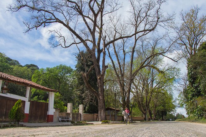 San Sebastian del Oeste - The guides and drivers make the difference