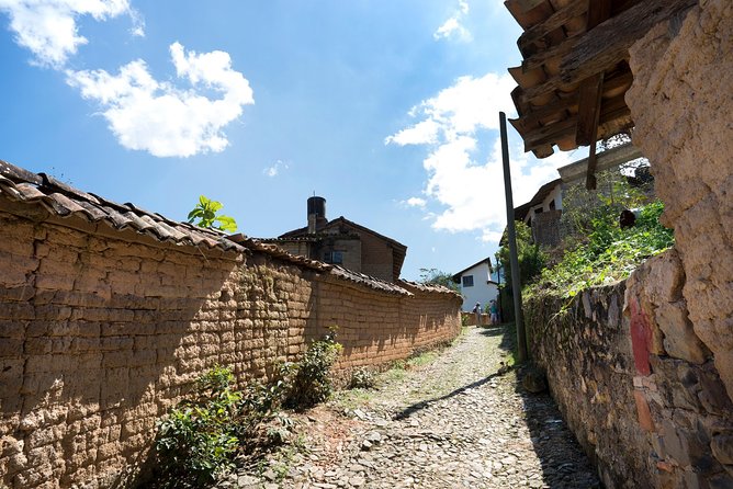 San Sebastian Tour - Coffee on the Hillside: The Organic Coffee Factory Stop