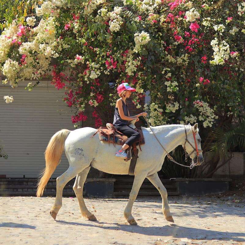 Sayulita: Horseback Riding Tour - Key things I’d circle before you book