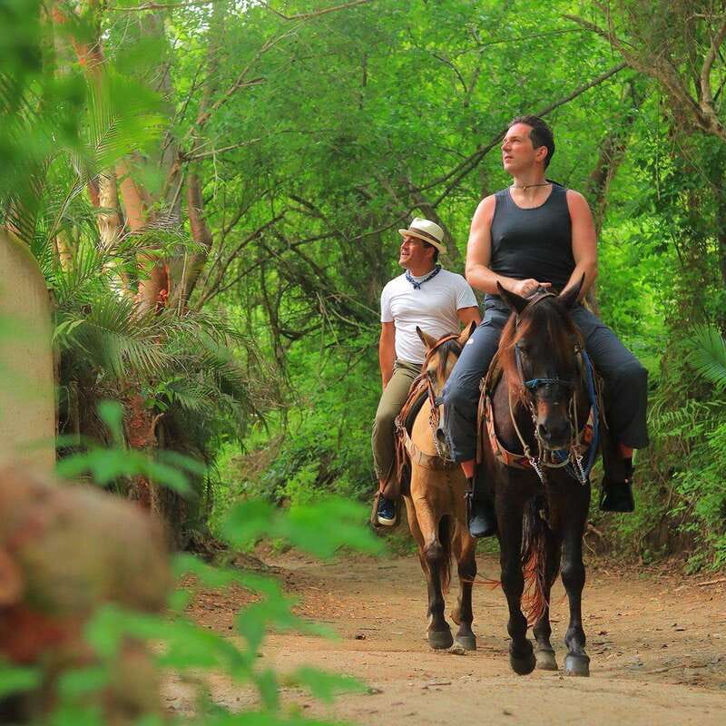 Sayulita: Horseback Riding Tour - Getting your bearings fast: instructions, languages, and what beginners can expect