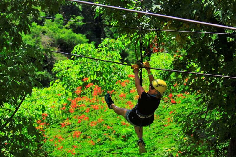 Sayulita/Punta Mita: Zip Lines with Ocean View - Price and Value: What $103 Buys You in Real Terms