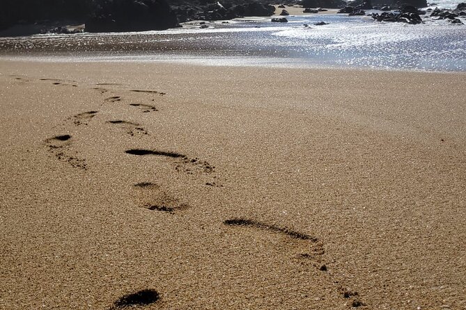Sayulita Surfer Beach Town and Zarandeado with Seafood Grill - Patzcuaritos Beach and the Bahia de Banderas viewpoint feel