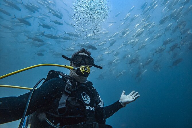 Scuba Diving - Key highlights in plain words
