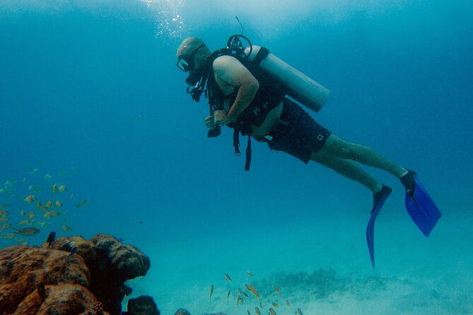 Scuba Diving (1st time) in Cancun Beginner's WELCOMED! - From Aquafun Marina to Your First Underwater Session