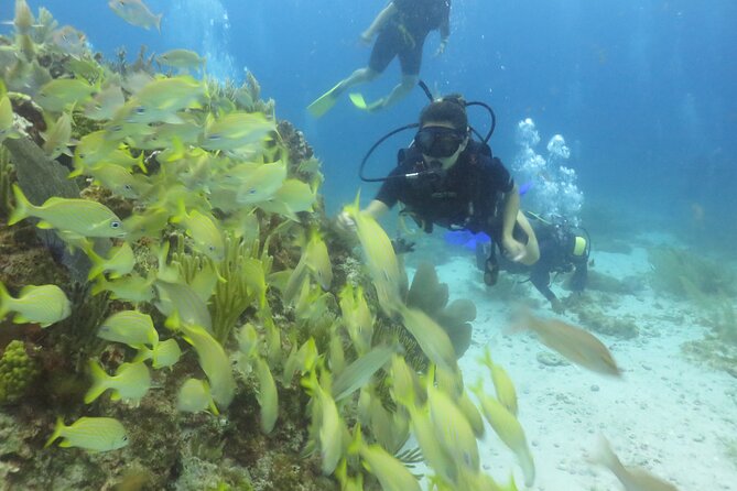 Scuba Diving (1st time) in Cancun Beginner's WELCOMED! - What You Learn Before You Go Down (And Why It Matters)