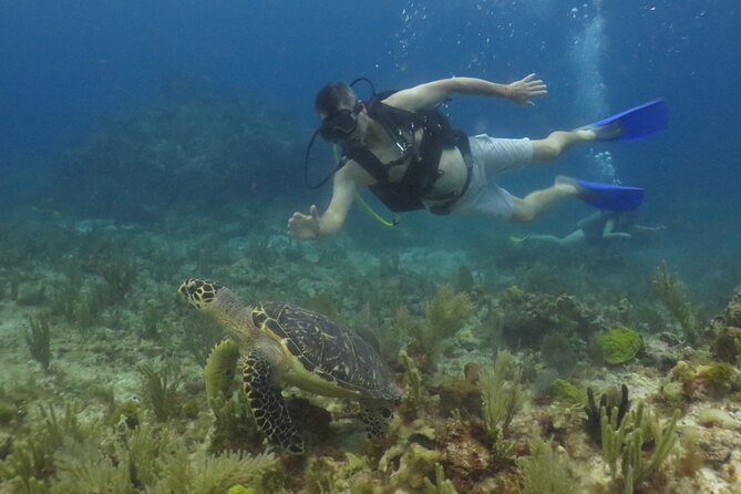 Scuba Diving (1st time) in Cancun Beginner's WELCOMED! - Price, Value, and the On-Site Cash You Must Budget