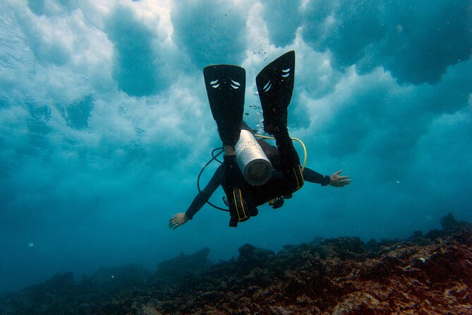 Scuba Diving (1st time) in Cancun Beginner's WELCOMED! - MUSA Museo Subacuatico de Arte: Your First Feel for Weightlessness