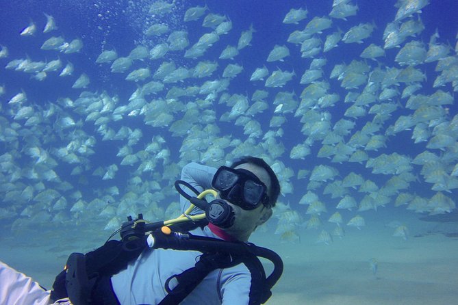 Scuba Diving - Gear, equipment rental, and the camera question you should ask early