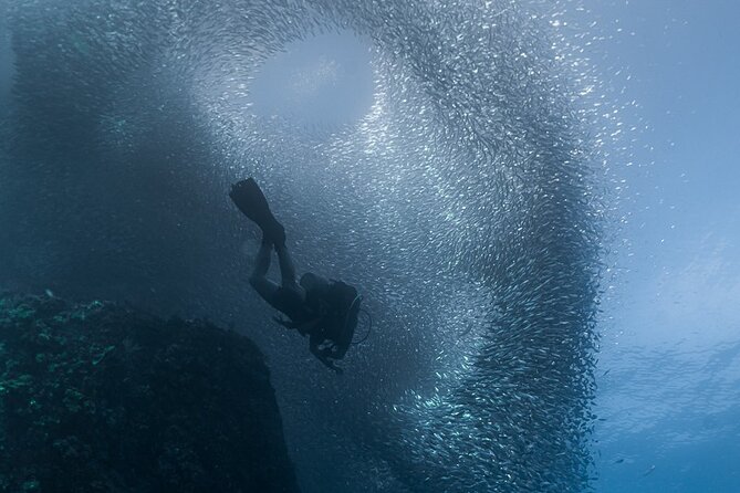Scuba Diving - Price check: what you get for $149 and what can add up