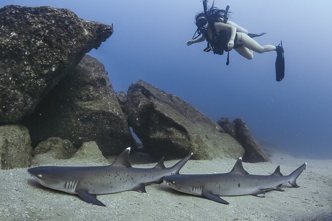 Scuba Diving - A quick heads up on billing and photo packages (especially by card)