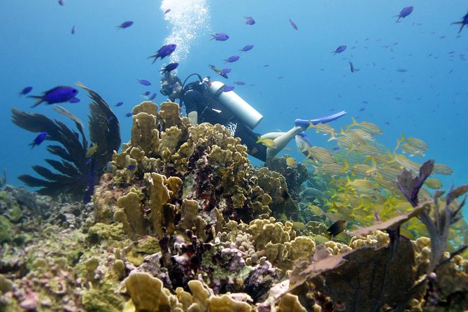 Scuba diving at MUSA the underwater museum for certified divers - Pocna Dive Center and What a Small Group Really Changes