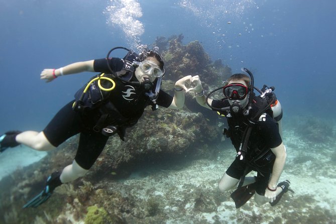 Scuba diving at MUSA the underwater museum for certified divers - What Happens Between Tanks: Snacks, Hydration, and Mental Reset