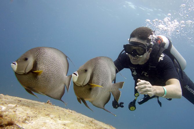 Scuba diving at MUSA the underwater museum for certified divers - Equipment Included, but Know What You Might Need