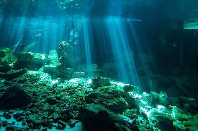 Scuba Diving in Cenote Dos Ojos from Playa del Carmen - Two different underwater lines at Dos Ojos