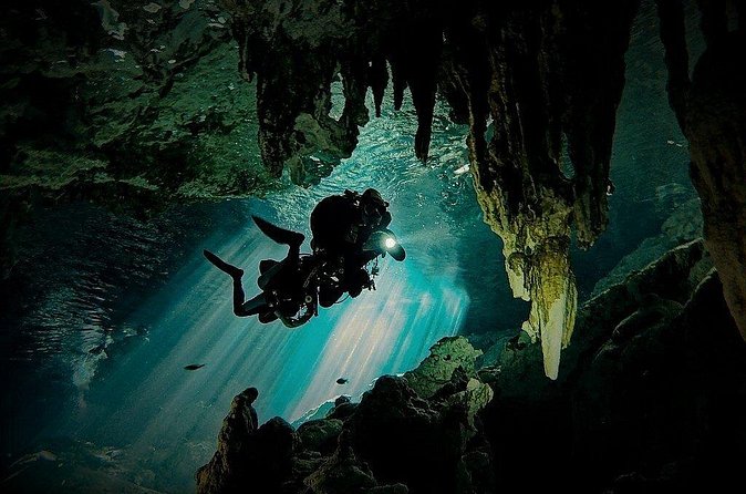 Scuba Diving in Cenote Dos Ojos from Playa del Carmen - Barbie Line and Bat Cave style routes: what you should expect