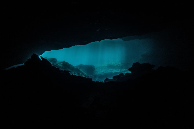 Scuba Diving in Cenotes - Snacks, gear quality, and the practical stuff that makes the day feel smooth