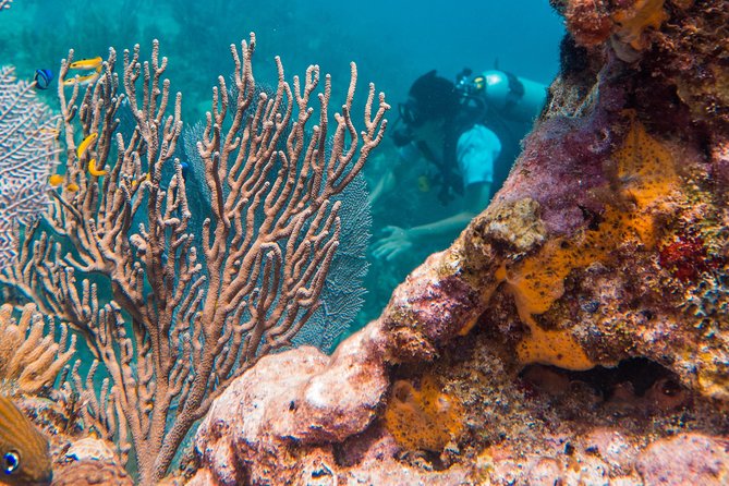 Scuba Diving in Cozumel Island - The Boat Break You Actually Look Forward To: Snacks, Two Levels, Rain Cover