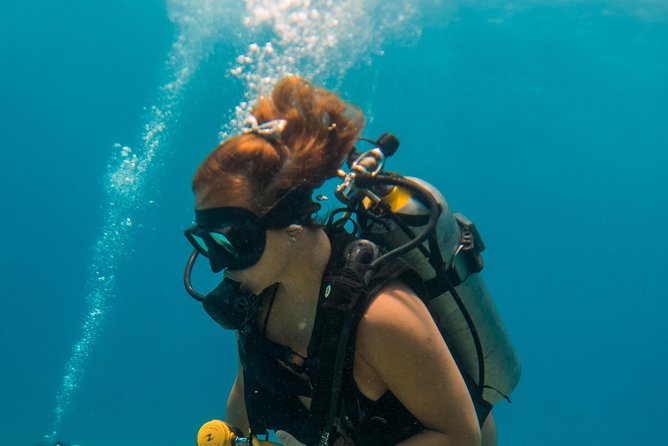 Scuba Diving in Cozumel Island - Open-Ended Ferry Ticket: More Cozumel Time Than a Typical Day Trip
