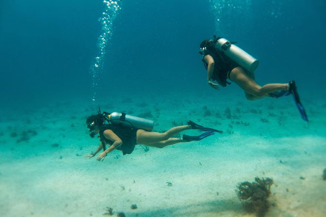Scuba Diving in Cozumel Island - Price and Value: $220 With Brunch and Fees, Equipment Rental Separate