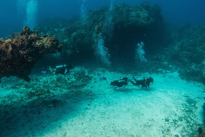 Scuba Diving in Cozumel Island - Who This Cozumel Reef Day Is Best For (and Who Might Need a Different Plan)