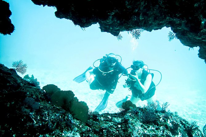 Scuba Diving Marietas Islands - The route: Banderas Bay, Punta de Mita, then Marietas Islands