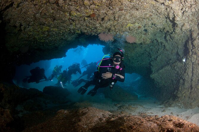 Scuba Diving Puerto Vallarta Undersea Arcos or Marietas - Wildlife on the itinerary: what you can realistically hope for