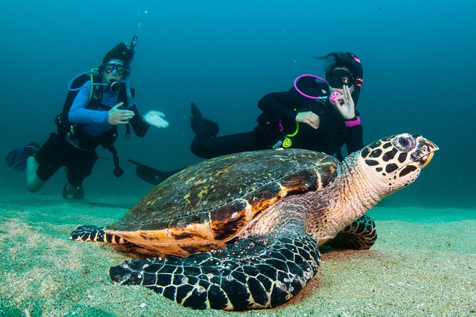Scuba Diving Puerto Vallarta Undersea Arcos or Marietas - Time in the water: how the day usually feels