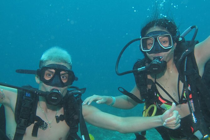 Scuba Diving Under Water Museum and Reef for beginners - Manchones Reef and Isla Mujeres, Coral and Marine Life