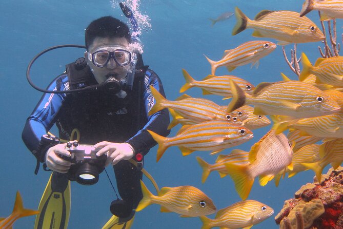 Scuba Diving Under Water Museum and Reef for beginners - Should You Book This Cancun Beginner Scuba Program?