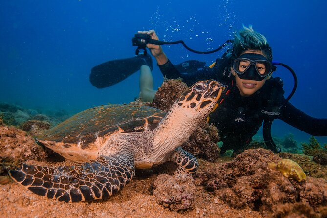 Scuba Diving with a 5-Star PADI Center in Puerto Vallarta - Bay of Banderas: the hub that sets your whole underwater plan
