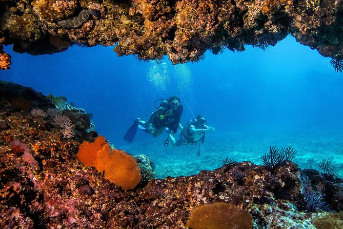 Scuba Diving with a 5-Star PADI Center in Puerto Vallarta - Marietas Islands Marine Reserve: the Cousteau connection and a conservation fee