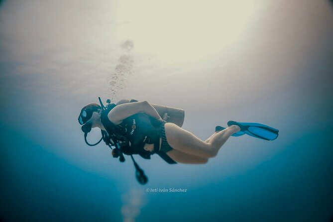 Scuba Referral Dives & Beach Club with Transportation In Riviera Maya - Equipment is included, and that helps you travel lighter