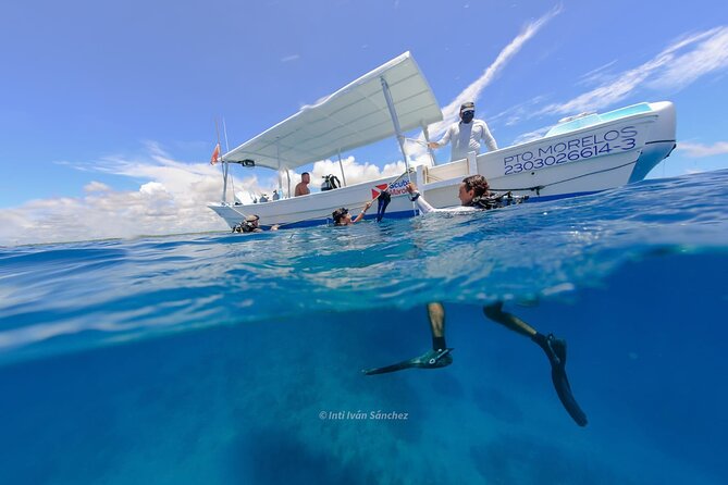 Scuba Referral Dives & Beach Club with Transportation In Riviera Maya - Getting to the marina from Playa del Carmen without extra fuss