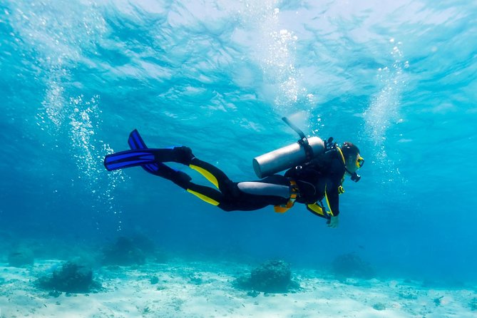 Scuba Referral Dives & Beach Club with Transportation In Riviera Maya - The two-day flow with four sea sessions